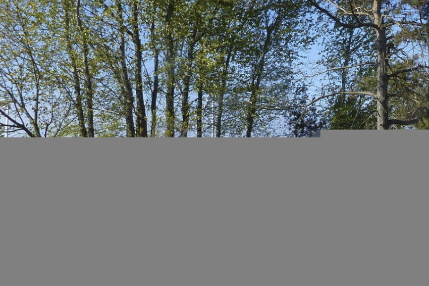 В Швеции обнаружено крупное захоронение с кораблями эпохи викингов